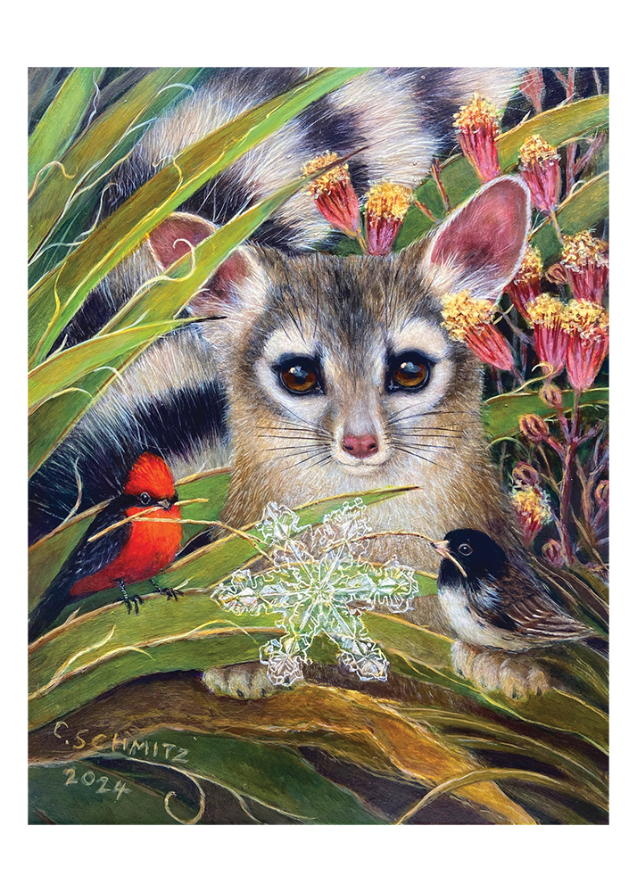 Ringo and the Mythical Snowflake ringtail cat with snowflake